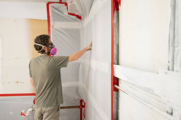 Best Commercial Mold Inspection  in Lakehills, TX