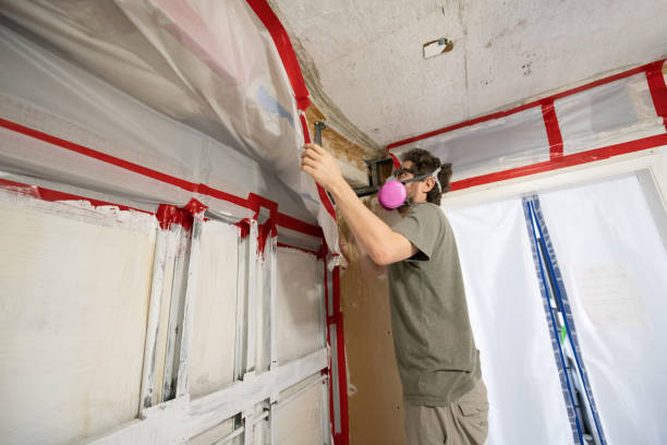 Best Attic Mold Removal  in Lakehills, TX